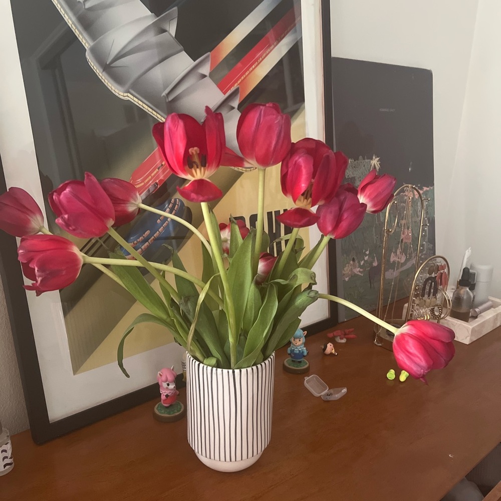 Meet your Posher, Savannah